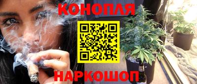 трава Моздок