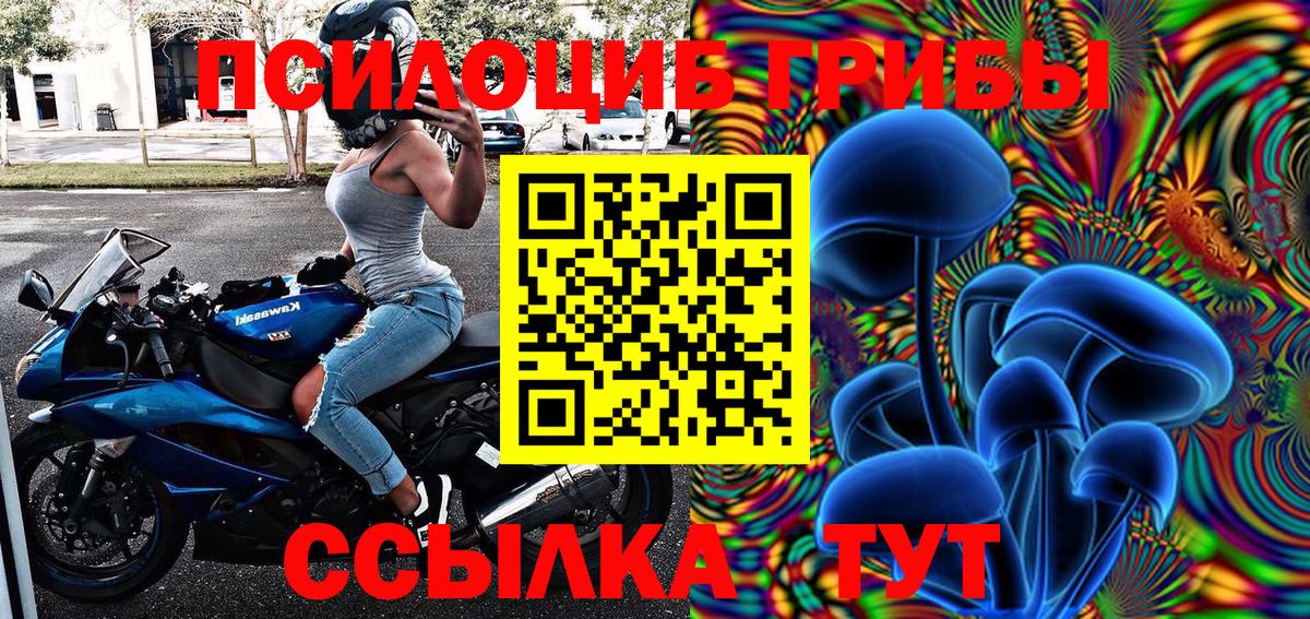 Соль-Илецк  Псилоцибиновые грибы прущие грибы  Вход с VPN  Галлюциногенные грибы Psilocybe 
