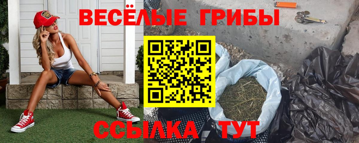 Псилоцибиновые грибы Magic Shrooms Соль-Илецк
